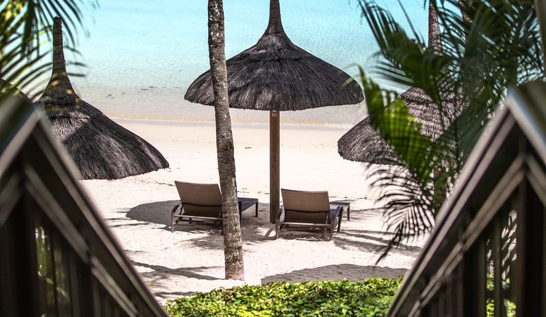 Royal Palm Hires 8538